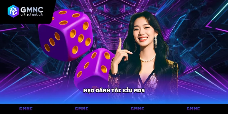 Mẹo đánh tài xỉu MD5